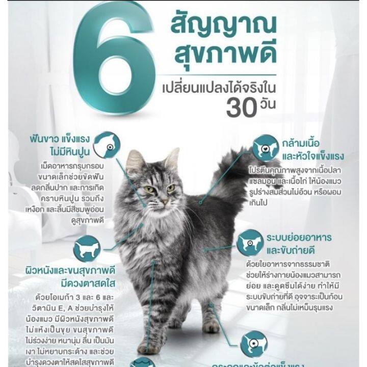 อาหารแมว-purina-one-แบ่งขาย-พร้อมส่ง