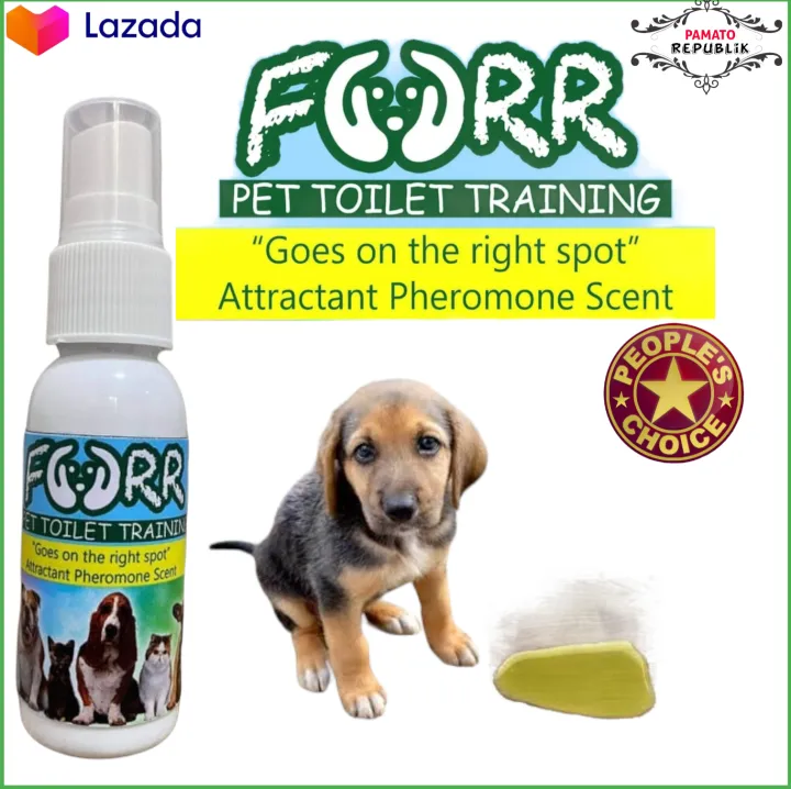 What Scent Makes Dogs Poop