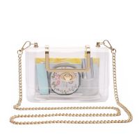 【YF】 Womens transparent handbag crossbody bag shoulder detachable gold chain ita beach bag