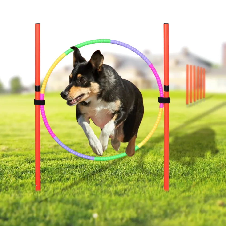 Dog Training Equipment Portable Dog Exercise Running Training