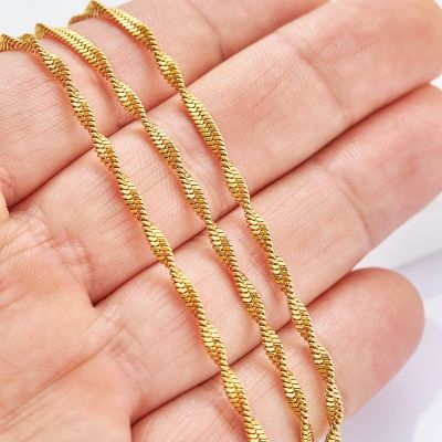 【CW】Womens Stainless Steel Necklace Twisted Flat Snake Chain for Ladies Men Jewelry Accessories Choker on the Neck Collarbone DIY