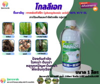 กรดฟอสโฟนิก โกลลีเอท 1ลิตร กลุ่ม33 ป้องกันกำจัด โรคเน่า ต้นเน่า  หยุดทุกปัญหาโรคเน่า "ฝั่งเข็มทุเรียน"