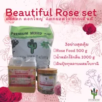 Beautiful rose set ดอกกุหลาบ ดอกดก ดอกใหญ่ แตกยอดไว รากเดินดี ไม้ดอก ดอกไม้ ดินดี ปุ๋ยชีวภาพ ปุ๋ยดี