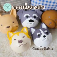 ยางกัดหน้าน้องหมา ของเล่นยางกัด ขัดฟัน แทะ เคี้ยว Dog Toy สุนัข ลูกหมา