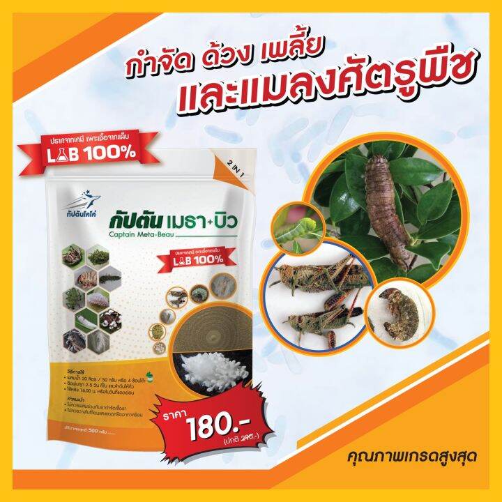 บิวเวอร์เรีย-เมธาไรเซียม-กัปตันเมธา-บิว-ยาฆ่าแมลง-500กรัม-ปลอดภัย-100