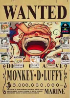 Shop One Piece Collection Wanted Poster online | Lazada.com.ph