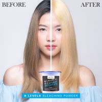 9 LEVELS BLEACHING POWDER by LANGEL ผงฟอกสีผม ระดับ 9 ทำไฮไลท์สีผม ผงสีขาว ปริมาณ 400 กรัม รหัส ANG-069