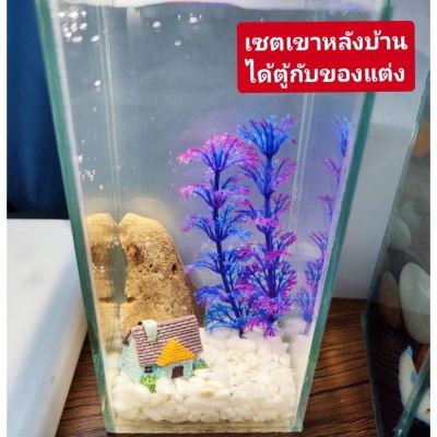 (ร้านใหม่แนะนำ) ตู้ปลากัด​เล็ก​3*7 แต่งตู้ปลา​ได้