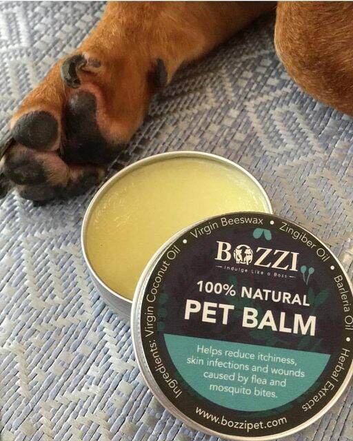 ฺbozzi-skin-care-pet-balm-บาล์มสมุนไพร-เพิ่มความชุ่มชื้นและฟื้นฟูปัญหาผิวหนัง-สำหรับสัตว์เลี้ยงทุกสายพันธุ์-30gm