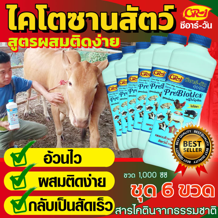 ไคโตซานสัตว์-กินเก่ง-อ้วนไว-ผสมติดง่าย-ขนาด-1-000-ซีซี-1ลิตร-จำนวน-6-ขวด-สุดประหยัด