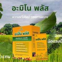 THAMDEE AMINO PIUS ธรรมดี อะมิโน พลัส ของแท้100% สารเสริมประสิทธิภาพพืชสูตร อิออน จำนวน 10 ซอง ความหวังใหม่ของเกษตรกรไทย