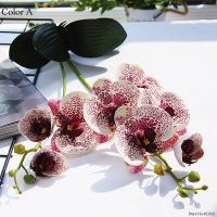 【DT】 hot  Luxury Latex Orchid with leaves Artificial flower white Butterfly Orchids fake flower for Home Wedding Decoration flores