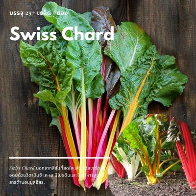 ( PRO+++ ) โปรแน่น.. เมล็ด Swiss Chard Mix ราคาสุดคุ้ม พรรณ ไม้ น้ำ พรรณ ไม้ ทุก ชนิด พรรณ ไม้ น้ำ สวยงาม พรรณ ไม้ มงคล