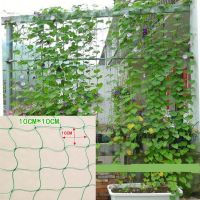 【CW】 1pcs Polyester Garden Net Rellis Netting Climbing Trellis for Vine Fruits Vegetables Vining