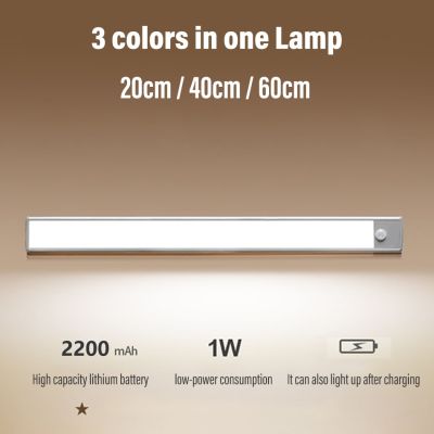 【CW】 USB Rechargeable Lighting Lamp Night Led Under Cabinet Sensor Closet