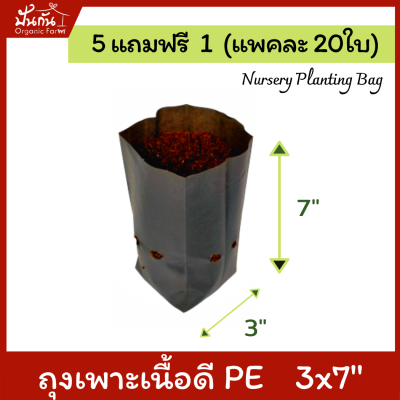 [5แถมฟรี1] ถุงปลูกต้นไม้ 3x7” ถุงเพาะชำ ถุงเพาะสีดำ เจาะรู แพคละ20ใบ [สั่ง5แพค แถมอีก1แพค] [Nursery Planting Bag] เนื้อ PE เหนียว ทน อายุใช้งาน 1.5 ปี
