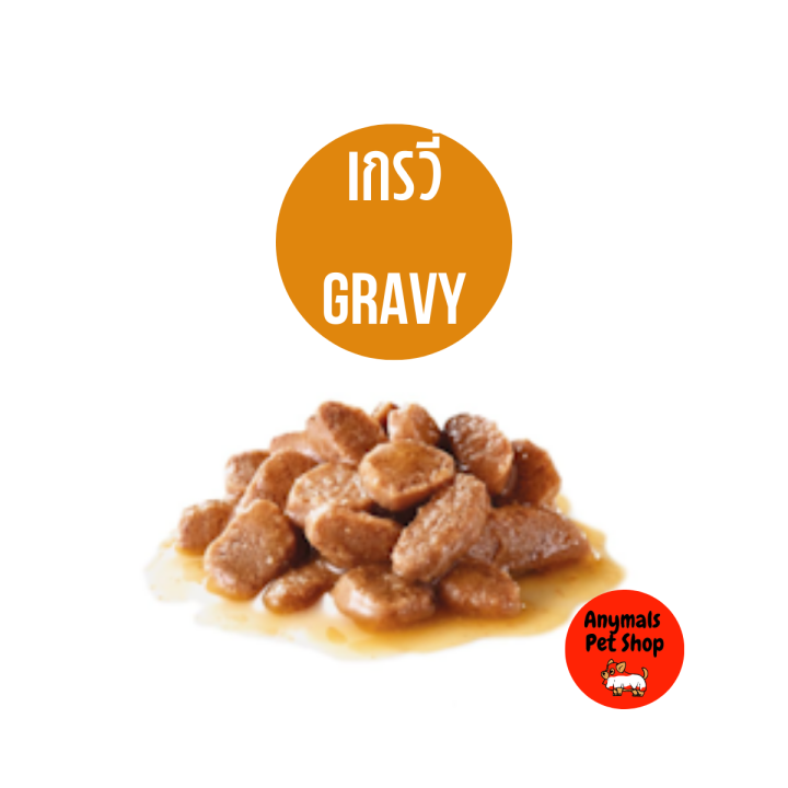 อาหารแมวเปียก-royal-canin-beauty-gravy-jelly-สูตรแมวโตที่ต้องการดูแลผิวหนังและเส้นขน-แบบ-เกรวี่-เจลลี่-85-กรัม