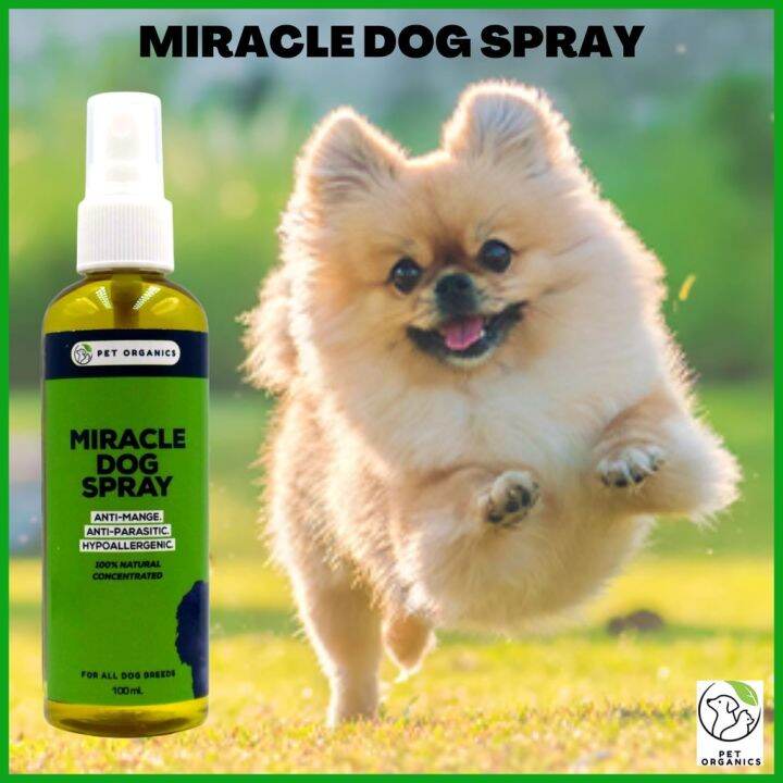 Miracle Dog Spray Best for AntiMange AntiParasitic Hypoallergenic FOR
