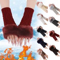 【CW】 Gloves Warm Windproof Elastic Texting Thermal Mittens Men