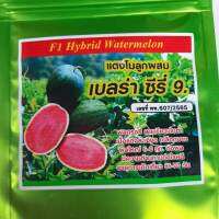 แตงโมลูกผสมกินรี,ซี29,ซี28,เบลร่า(ผิวสีเขียวเข้ม-ดำผลใหญ่5-6กก.)50กรัม