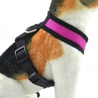 【FCL】✱❣₪ Breathable Mesh Small Dog Harness and Leash Set Collar Chihuahua Pug Bulldog Arnes Perro