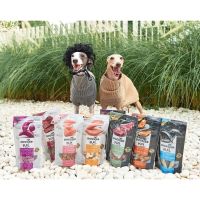 DOGSTER PLAY – Freeze Dried Treats &amp; Toppers for Dogs ขนมและทอปปิ้งฟรีซดรายสำหรับสุนัข