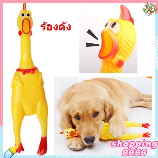 l-ไก่โอ๊กร้องดัง-ไก่โอก-ตุ๊กตาไก่ร้องได้-ของเล่นมีเสียง-bc097