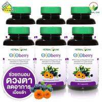 Herbal One Ocoberry [6 กระปุก] ช่วยถนอมดวงตา