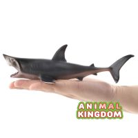 Animal Kingdom - โมเดล Shark ฉลาม ขาว ขนาด 21.00 CM (จากสงขลา)