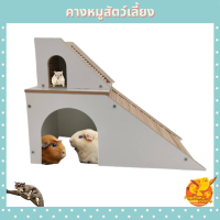 ของเล่นสัตว์เลี้ยง ของเล่นหนูแกสบี้ ของเล่นหนูแฮมเตอร์ บ้านหนูแกสบี้ บ้านหนูแฮมเตอร์ บ้านสัตว์เลี้ยง อุปกรณ์สำหรับหนู