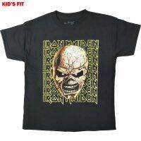 Hot sale Iron Maiden band graphic Mens 100% Cotton Round Neck Short Sleeve T-Shirt  Adult clothes