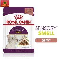 [ยกกล่อง 12 ซอง] Royal Canin Sensory Smell Pouch Gravy อาหารเปียกแมวโต กินอาหารก เลือกกิน กลิ่นหอมพิเศษ อายุ 12 เดือนขึ้นไป (ซอสเกรวี่, Wet Cat Food, โรยัล คานิน)