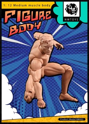 ZZOOI In Stock NwToys 1/12 Scale 16.6cm Anime Medium Muscle Joint Male Body Hero Super Flexible Doll Painting Practice Action Figure