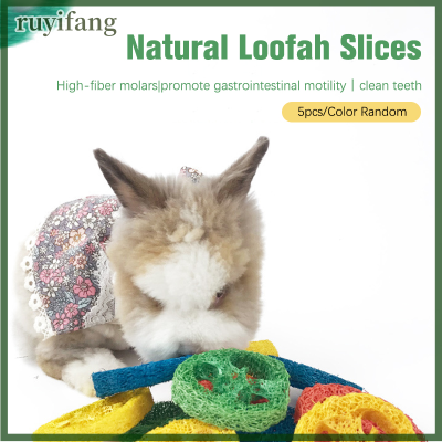 ruyifang 5pcs PET molars NATURAL Loog Color cleaning Loog ชิ้นหนูแฮมสเตอร์ Chinchilla molar ของเล่นขนมกัด-ทนวัสดุสัตว์ขนาดเล็ก