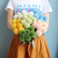 1Pc Single Artificial Dandelion Flowers / Single Branch Fake Hydrangea Dandelion Plastic Flowers / Multiple Colour DIY Dandelion Ball Bouquet / fake Artificial Flowers Wedding Valentines Day Party Home Decor 5211028☼