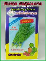 เมล็ดพันธุ์ ต้นหอม พันธุ์หอมนวล bunchung onion ผลดก ดูแลน้อย ต้นแข็งแรง ปลูกง่าย น้ำหนักดี ผลผลิตสูง ทนโรค ผักสวนครัว 650เมล็ด