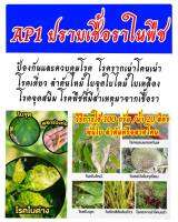 AP-1 ปราบเชื้อราในพืช  ป้องกันและกำจัดเชื้อราทุกชนิดสำหรับพืช ขนาด 200 กรัม โรครากเน่าโคนเน่า ไฟท็อป กุ้งแห้ง โรคหมานอน ใบไหม้ใบแห้ง