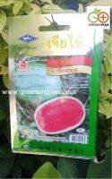 แตงโม แร็พเตอร์ (WATERMELON RAPTER 515) เจียไต๋