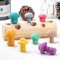 1pc Wooden Rainbow Building Blocks Toy Montessori Educational Puzzle Toy Mushroom Shape Cognition Matching Game Baby Growth Gift