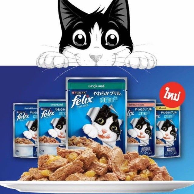 42pets-70g-12ซอง-purina-felix-เฟลิกซ์-โดยเพียวริน่า-อาหารเปียก-น้องแมวเกรดคุณภาพ-70g-ลูกแมว-แมวโต-อาหารแมวเปียก-เกรดพรีเมี่ยม