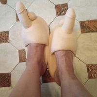 【CW】 Fun Penis Slippers Humorous and Design Suitable for Bedroom Room H9