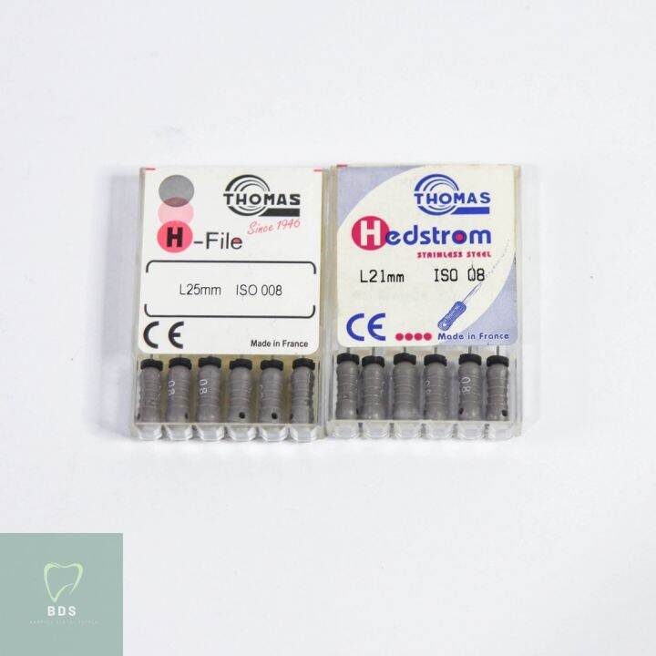 Endo H Files Hedstrom Stainless Steel 08101580 Thomas Lazada PH