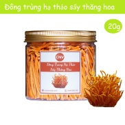 Đông trùng hạ thảo khô sấy thăng hoa 20g nguyên cọng 99% - Cây Nấm Việt