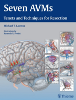 Seven AVMs : Tenets and Techniques for Resection, 1ed - ISBN 9781604068757 - Meditext