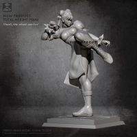 75mm Resin Model Chunli Resin Soldier Kits Self-assembled TD-2338