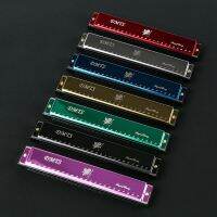 Professional Performance Level Polyphonic C Harmonica 24-hole Teaching Introduction Beginner Child Student Adult Blues