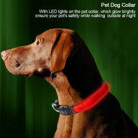 ปลอกคอสุนัขสำหรับสัตว์เลี้ยงแบบชาร์จ USB LED Luminous Night Safety Adjustable Puppy Collars (Red S)