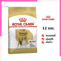 ?จัดส่งฟรีๆ Royal Canin สุนัขโต สูตร Beagle บีเกิล ขนาด 12 กิโลกรัม เก็บเงินปลายทาง ✨