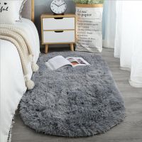 Oval Soft Silkly Plush Carpet Modern Home Decor Living Room Sofa Coffee Table Floor Rug Girl Bedroom Foot Mat Balcony Cushion