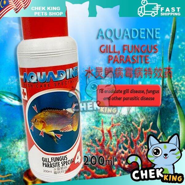 Cover image for Top 10 fish parasite cures 2027